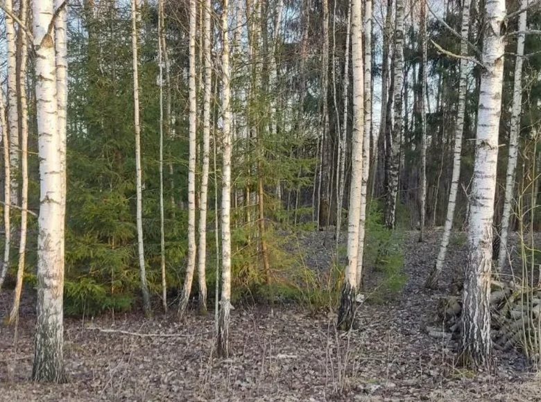 Haus  Dziamidavicki siel ski Saviet, Weißrussland