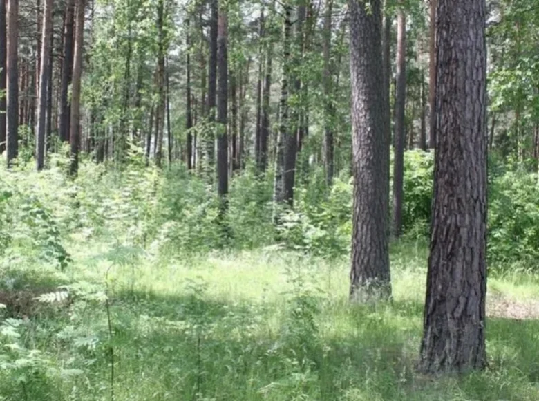 Działki  Ryga, Łotwa