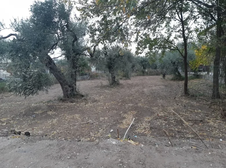 Parcelas  Tasos, Grecia