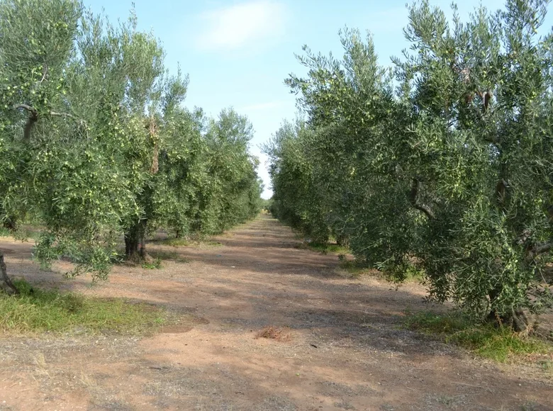 Land 1 room  Portes, Greece