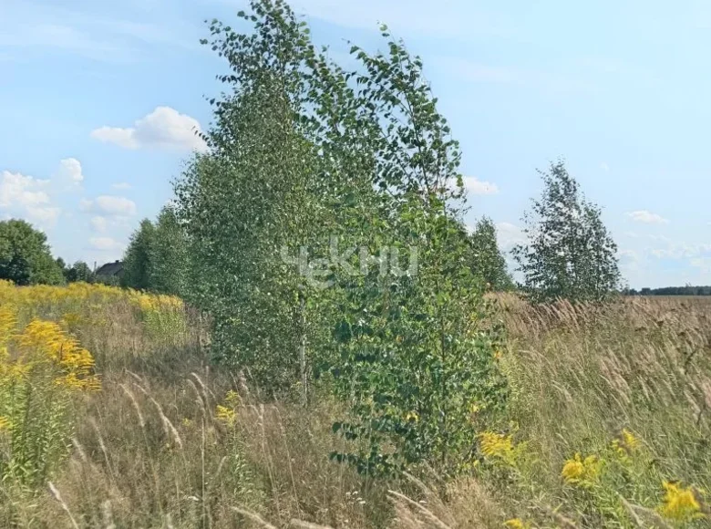 Parcelas 2 000 m² Gorodetsky District, Rusia