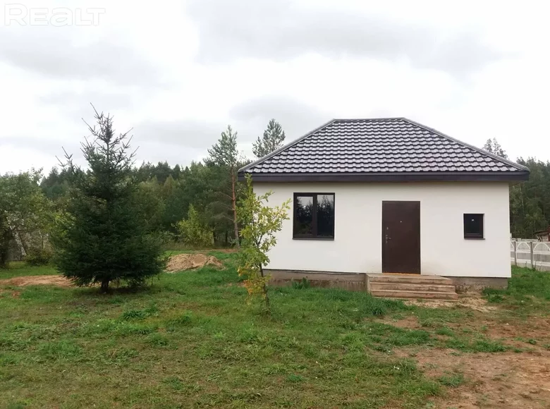 House 45 m² Saskouski sielski Saviet, Belarus