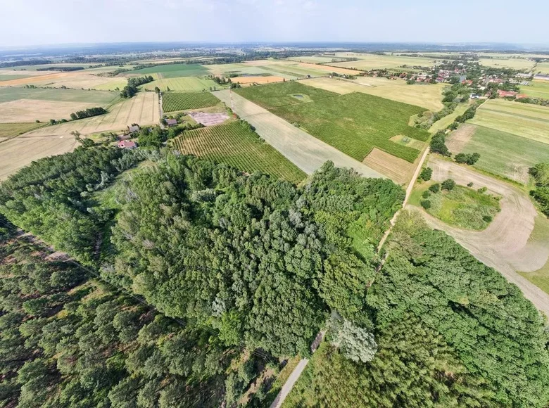 Land 9 980 m² Smolice, Poland