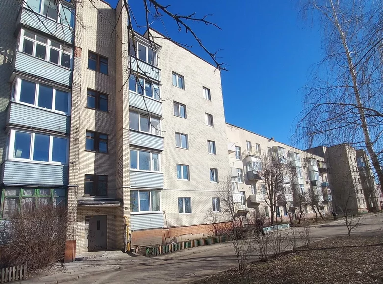 Wohnung 2 Zimmer 44 m² Orscha, Weißrussland