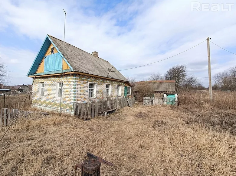 House 37 m² Usyazh, Belarus