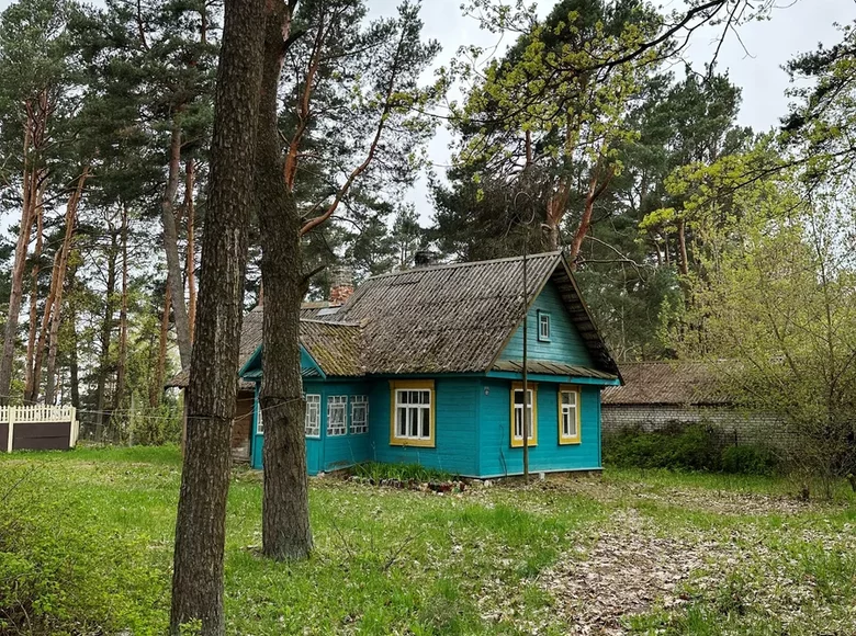 Casa 50 m² Braslaw, Bielorrusia