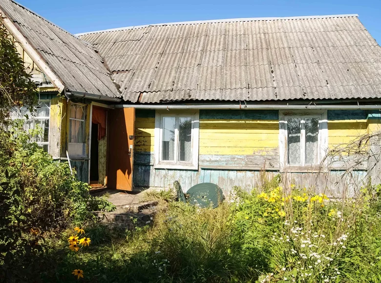 Haus 55 m² Pyatryshki, Weißrussland