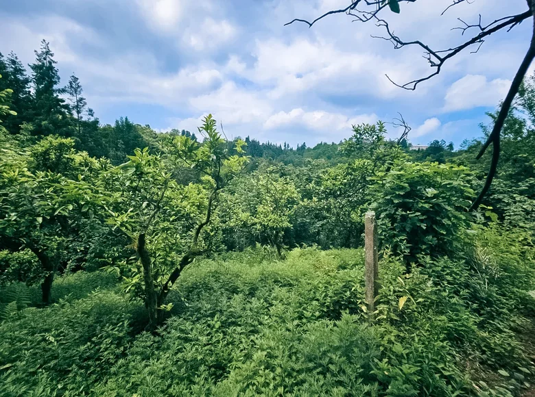 Grundstück  Bobokvati, Georgien