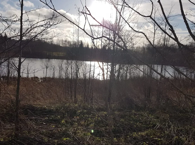 Land 8 700 m² Dubuli, Latvia