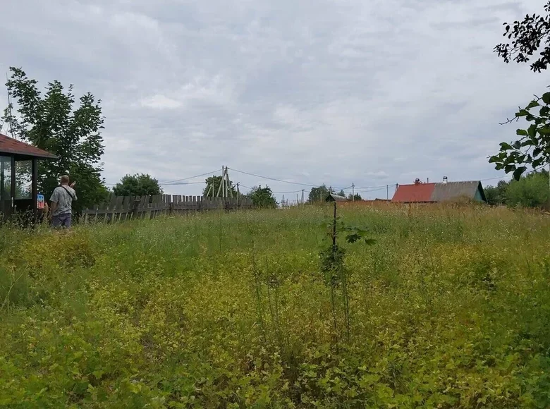 Grundstück  Pahoscki sielski Saviet, Weißrussland