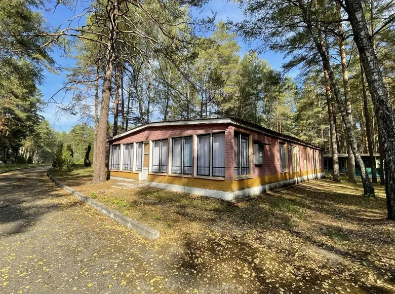 Casa 229 m² Radaskovicki siel ski Saviet, Bielorrusia