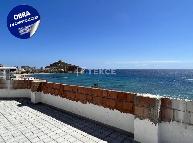 Appartement 5 chambres 120 m² Aguilas, Espagne