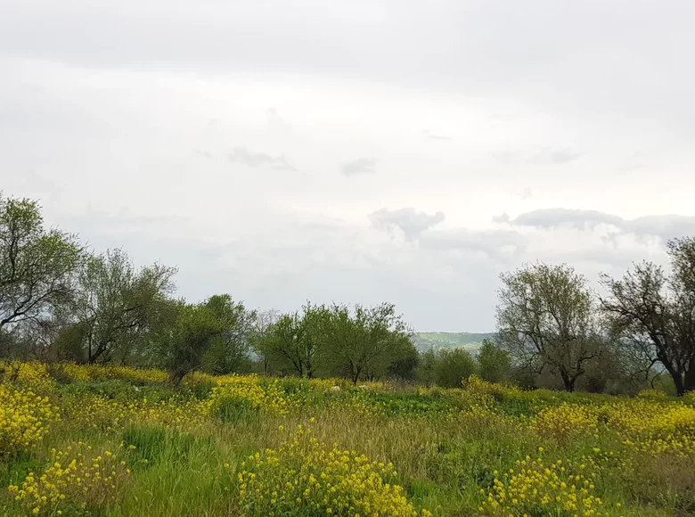 Działki 1 pokój  Pafos, Cyprus