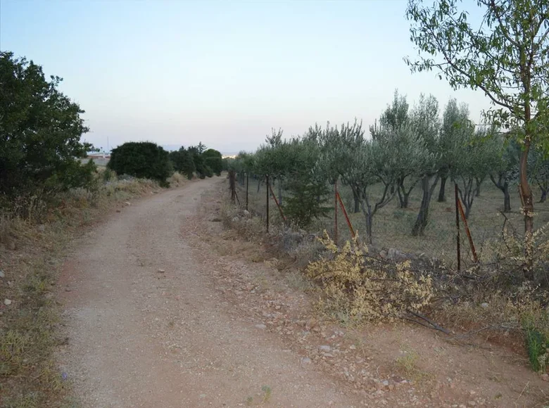 Land 1 room  Paiania, Greece