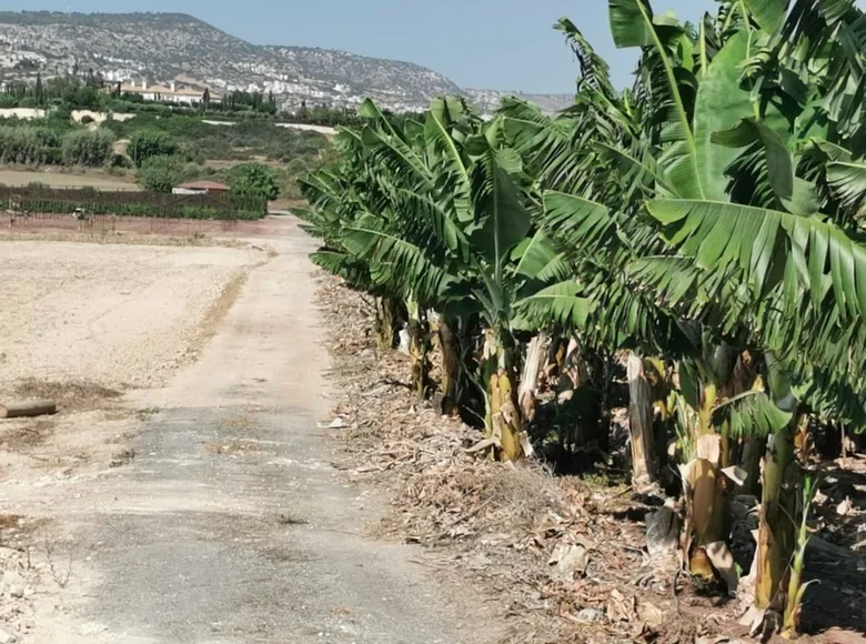 Grundstück  Peyia, Cyprus