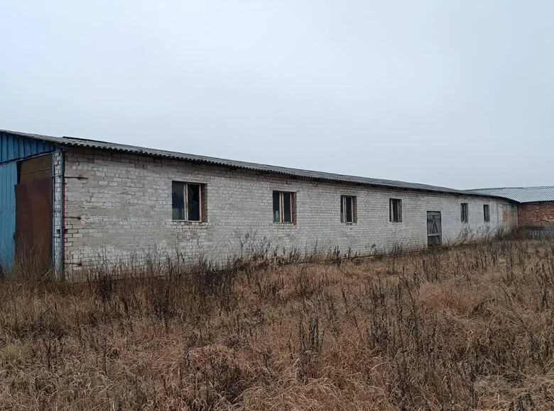 Commercial property 1 294 m² in Januskavicki sielski Saviet, Belarus