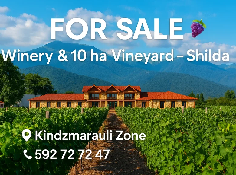 Wine is not just taste and aroma — it's the atmosphere and location that create it!