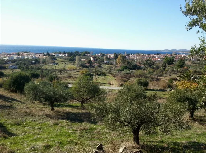 Atterrir 1 chambre  Nikiti, Grèce