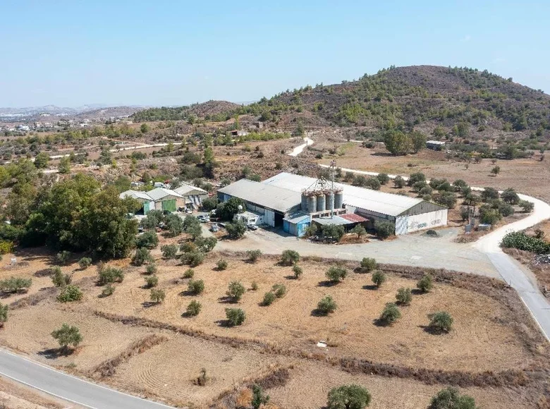 Warehouse 4 250 m² in Agia Varvara, Cyprus