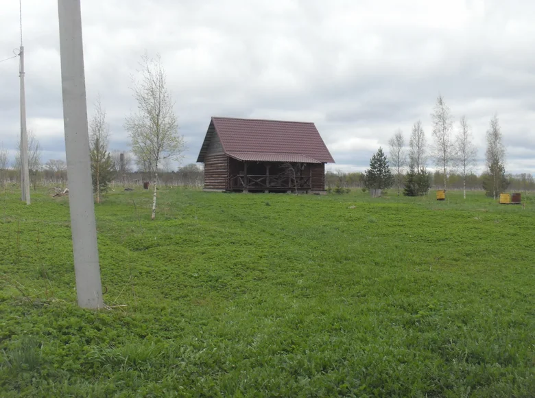 Grundstück  Bolshevrudskoe selskoe poselenie, Russland