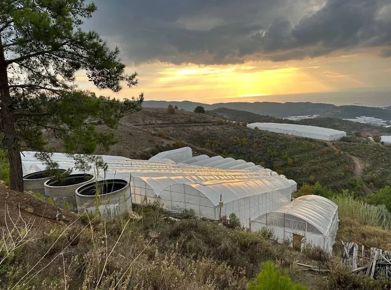 Grundstück  Yenidamlar, Türkei