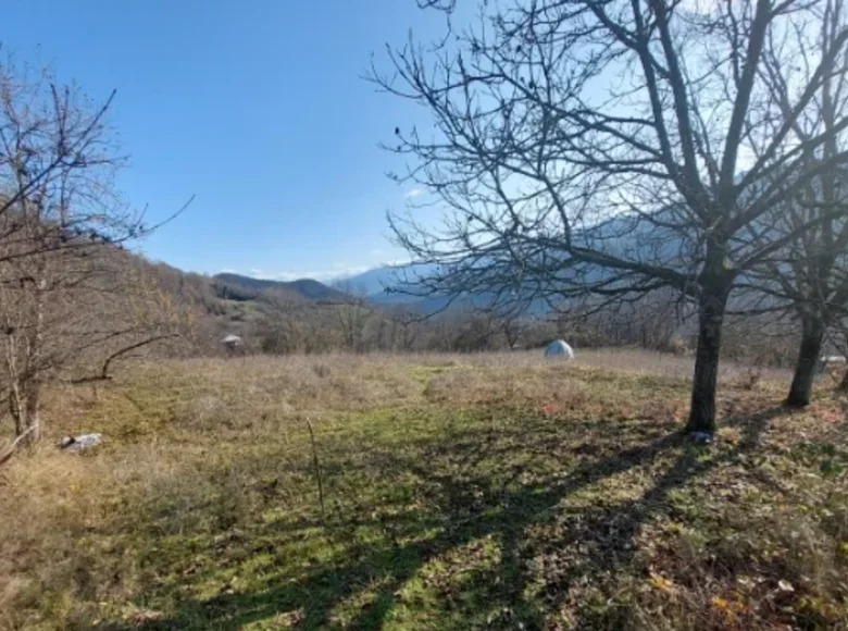 Land  Ambrolauri, Georgia