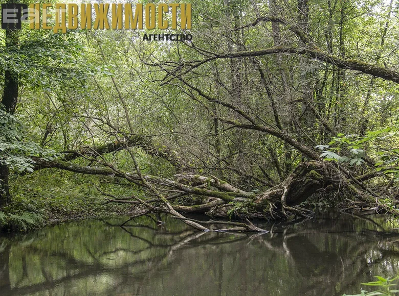 Land with bath house for sale in Bialarucki sielski Saviet, Belarus for