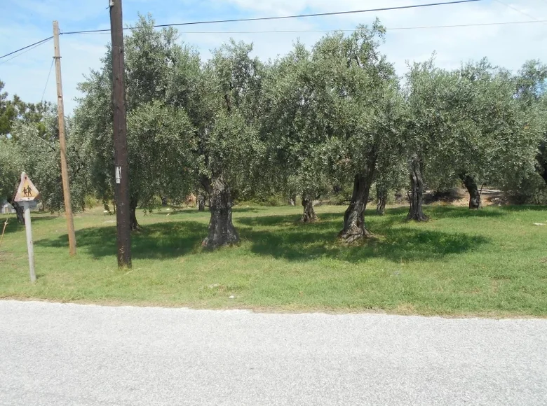 Land  Skala Sotiros, Greece