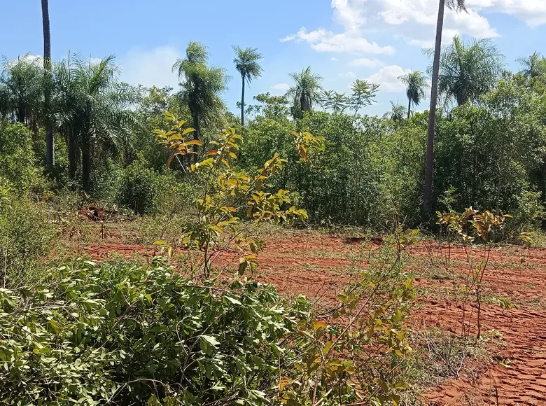 Atterrir 1 m² District de Carapegua, Paraguay