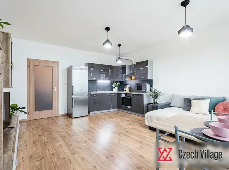 Mieszkanie 3 pokoi 58 m² Praga, Czechy