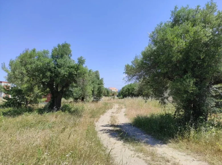 Land 1 room 1 800 m² Polychrono, Greece