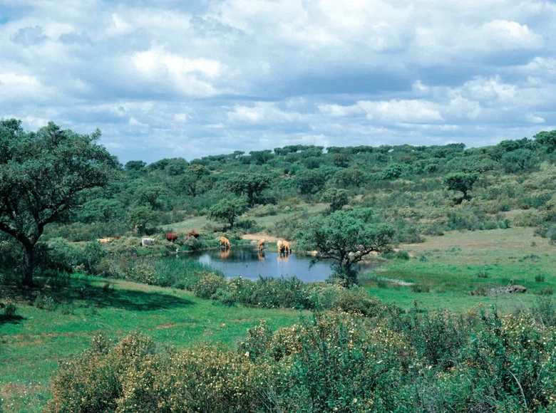 Działki  Ourique, Portugalia