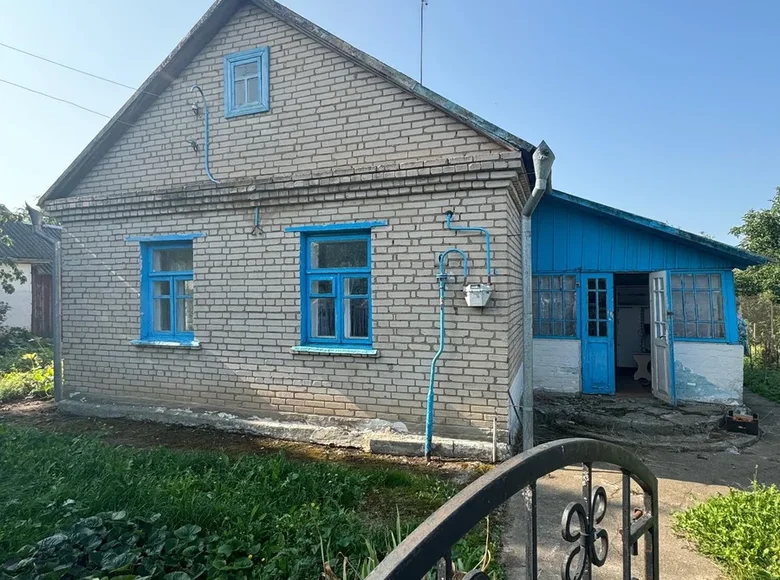 House 57 m² Nyasvizh, Belarus