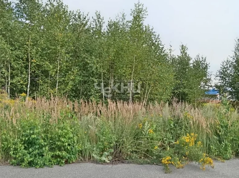 Land 1 100 m² Smolkovskiy selsovet, Russia