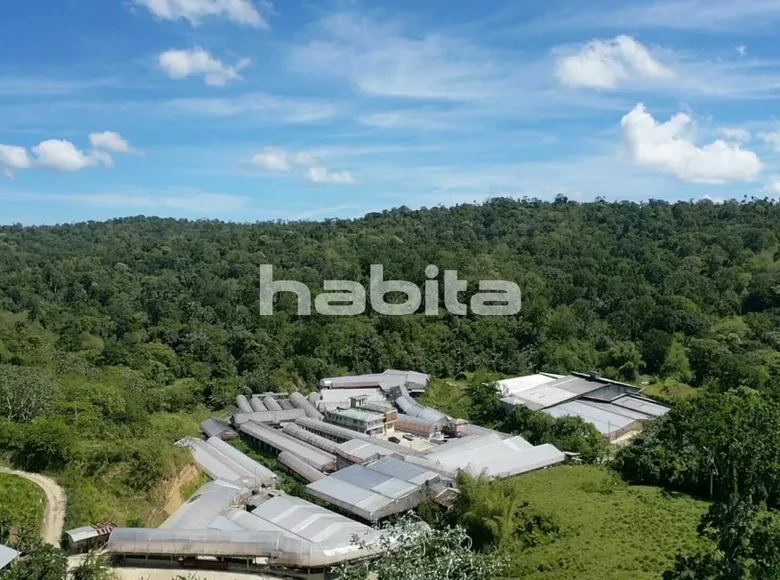 Manufacture 4 340 000 m² in Gaspar Hernandez, Dominican Republic