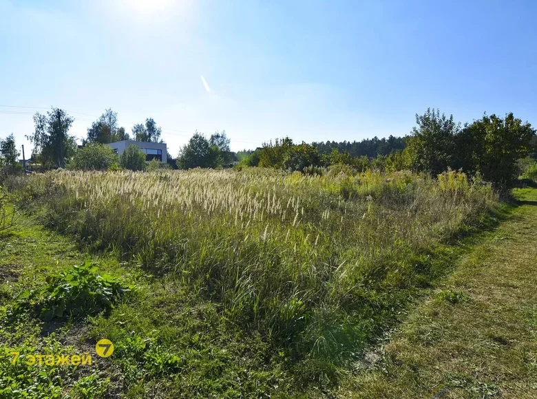 Dom  Scomyslicki siel ski Saviet, Białoruś