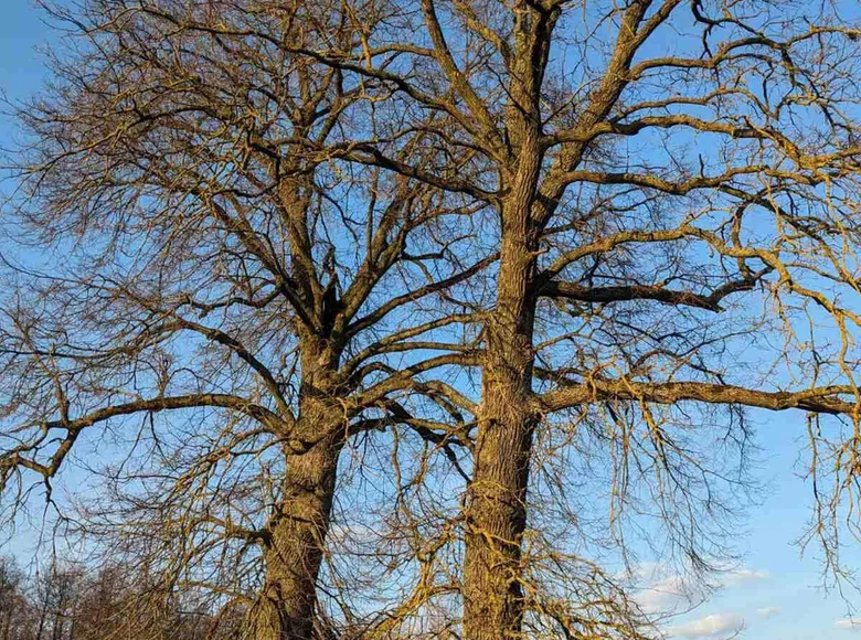 Dom 75 m² Stankauski sielski Saviet, Białoruś