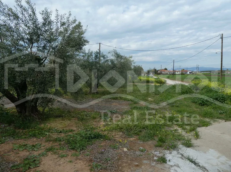Grundstück 2 700 m² Flogita, Griechenland