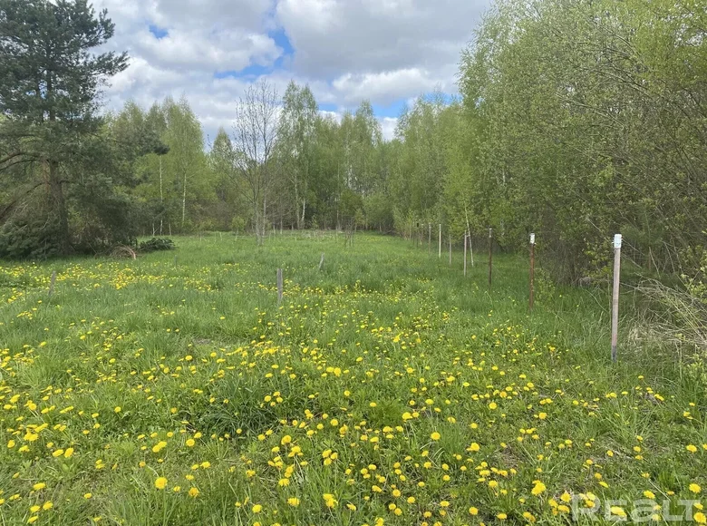 Land  Zareccia, Belarus