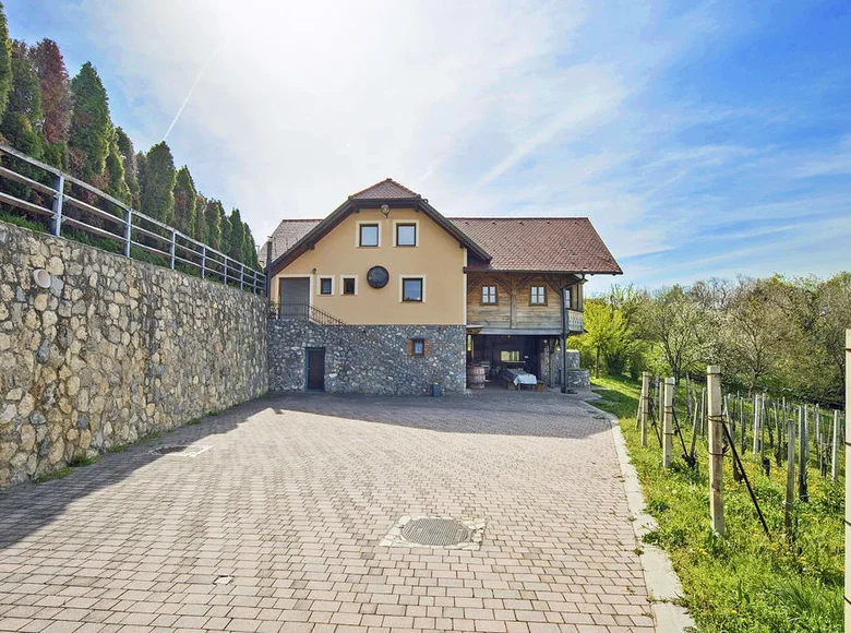 Fertiges Geschäft 330 m² Raka, Slowenien