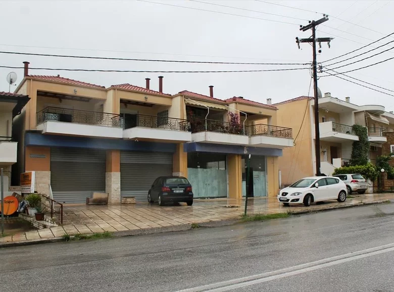 Commercial property 416 m² in Kriopigi, Greece