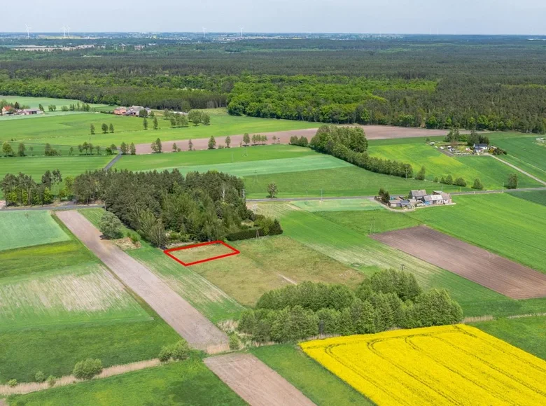 Mieszkanie 600 m² Wiosna, Polska