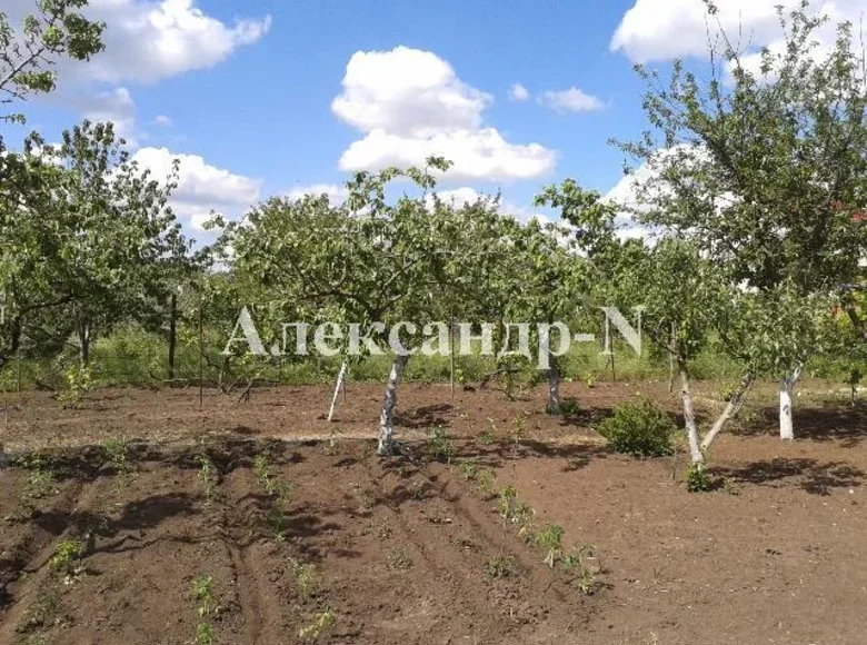 Land  Sievierodonetsk, Ukraine