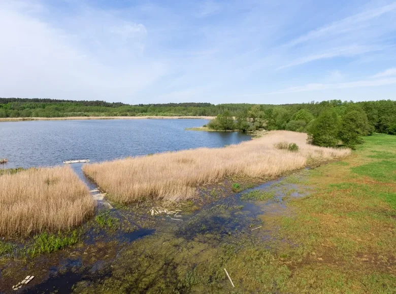 Land 17 200 m² Roscinno, Poland