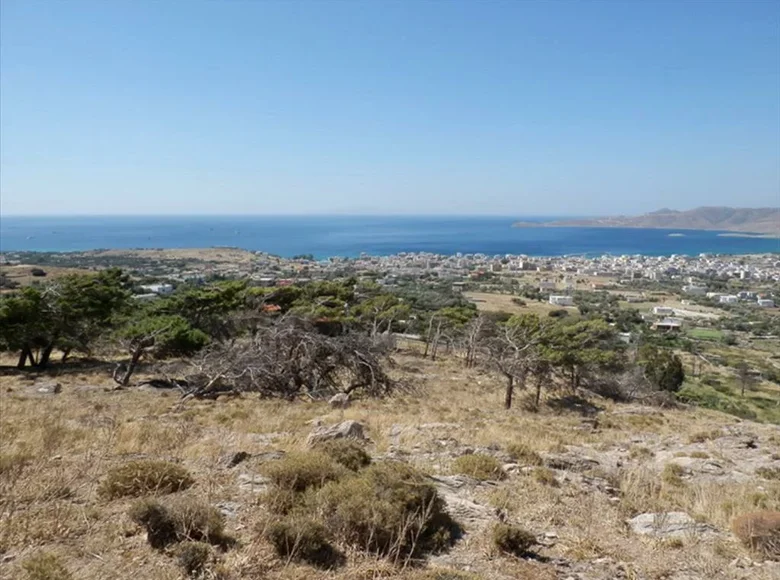 Land 1 room 42 000 m² Myli, Greece