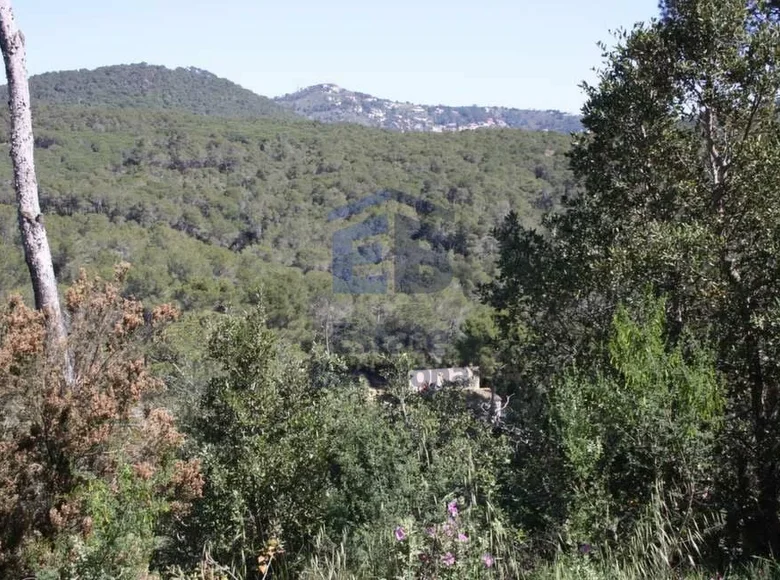 Land 3 500 m² Costa Brava, Spain