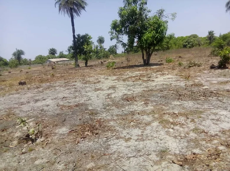 Grundstück 18 200 m² Brufut, Gambia