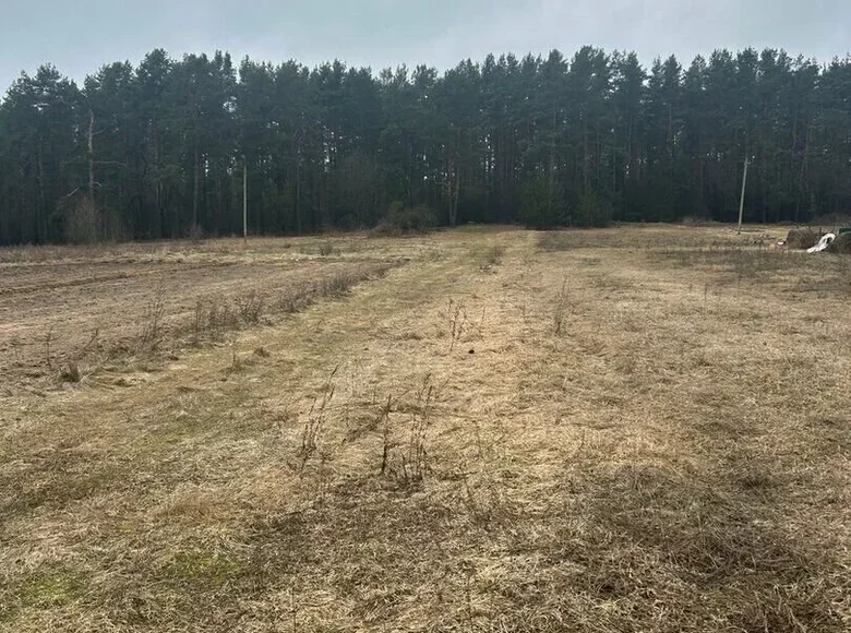 Land  Hlivin, Belarus