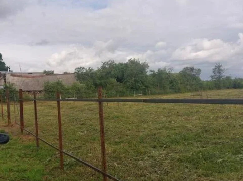 Atterrir  Babinicki sielski Saviet, Bélarus