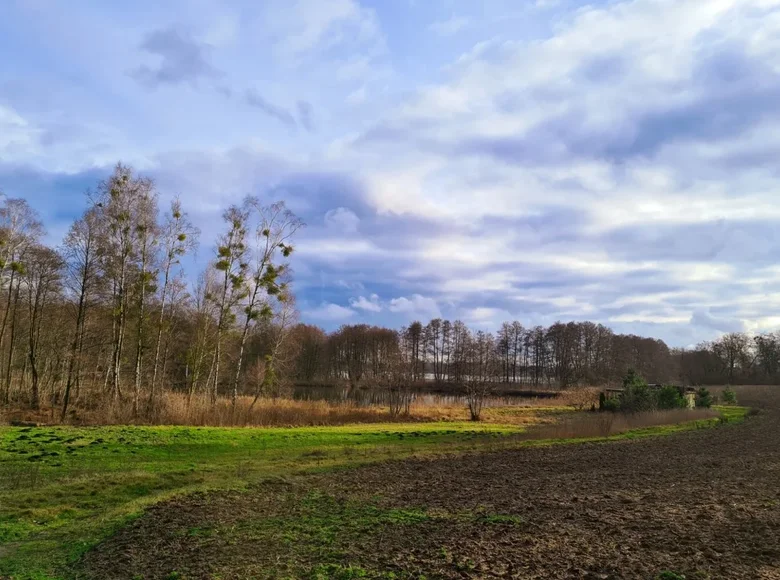 Land 31 500 m² Buszewo, Poland